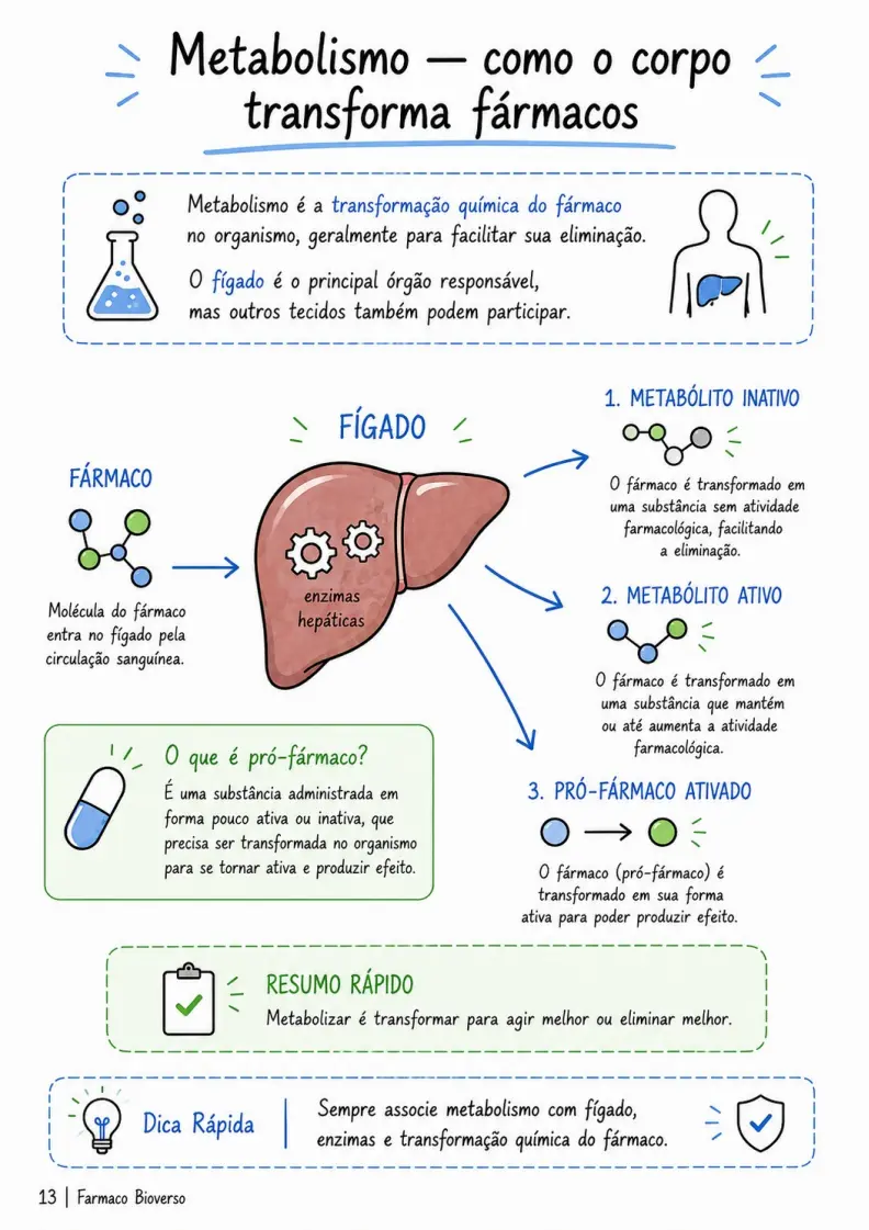 Prévia de material visual para estudantes da área da saúde